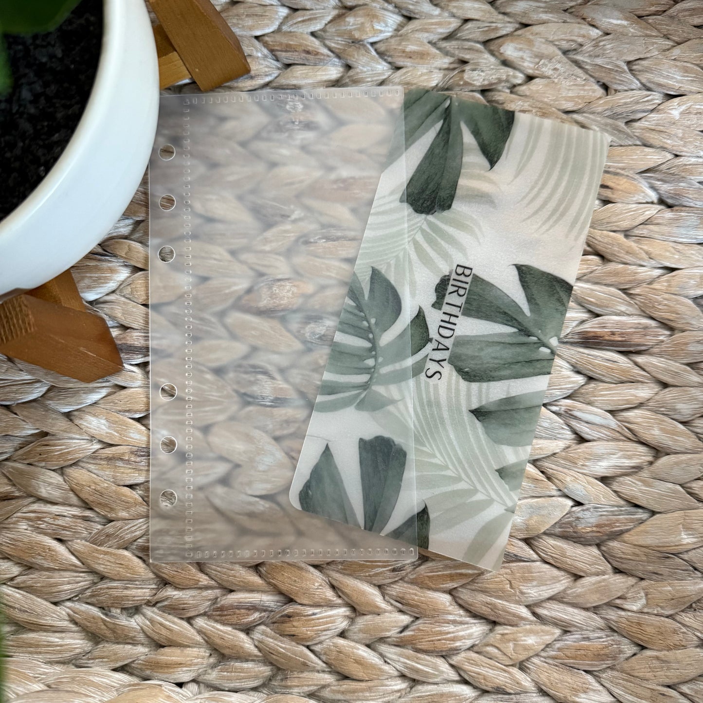 Monstera A6 Cash Envelopes